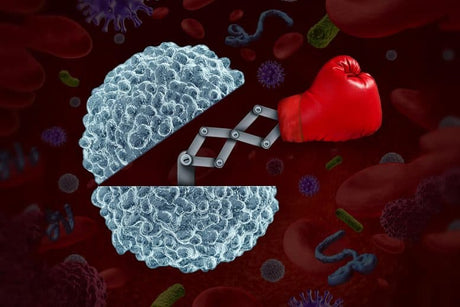Lojer Future Upholstery Coating Fights Back Against Coronavirus!