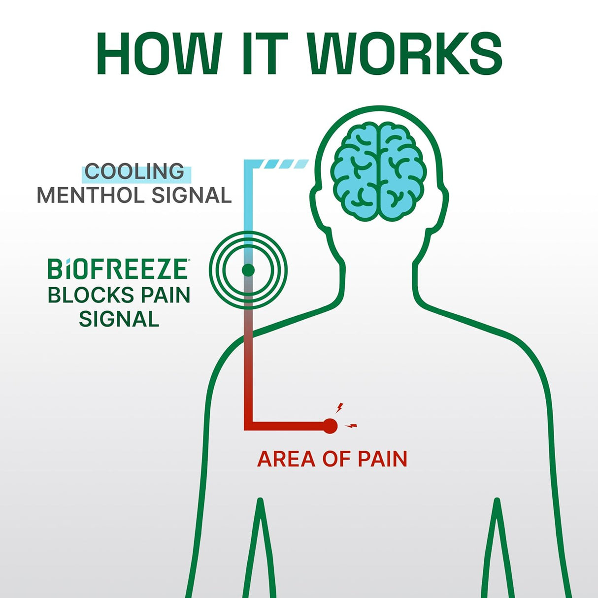 Biofreeze® Professional Topical Analgesic