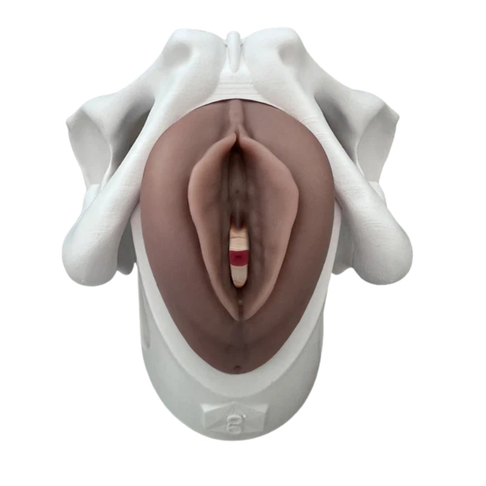 Iris™ Pessary & Device Demonstration Model
