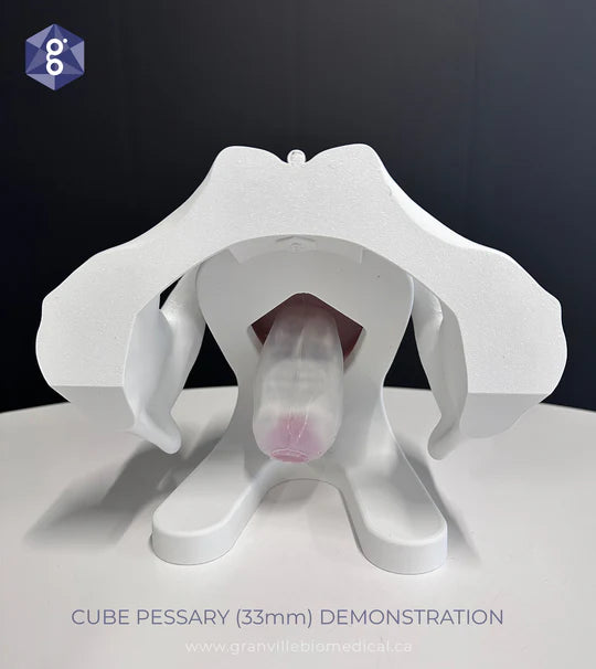 Iris™ Pessary & Device Demonstration Model