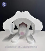 Iris™ Pessary & Device Demonstration Model