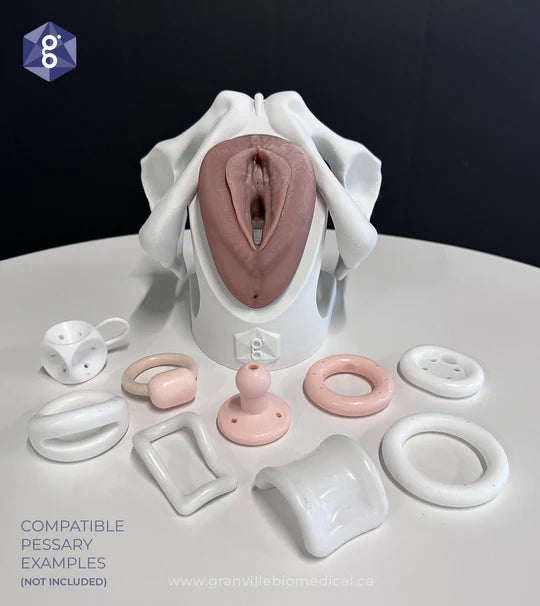 Iris™ Pessary & Device Demonstration Model