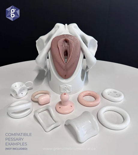 Iris™ Pessary & Device Demonstration Model