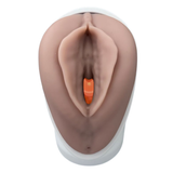 Venus Pelvic Floor Training Model
