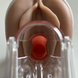 Venus Pelvic Floor Training Model