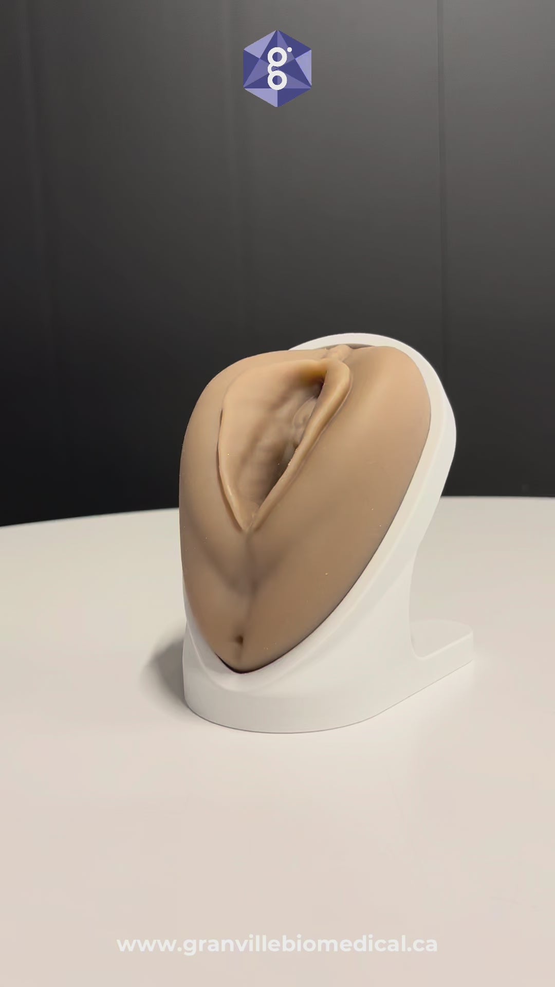 Venus Pelvic Floor Training Model