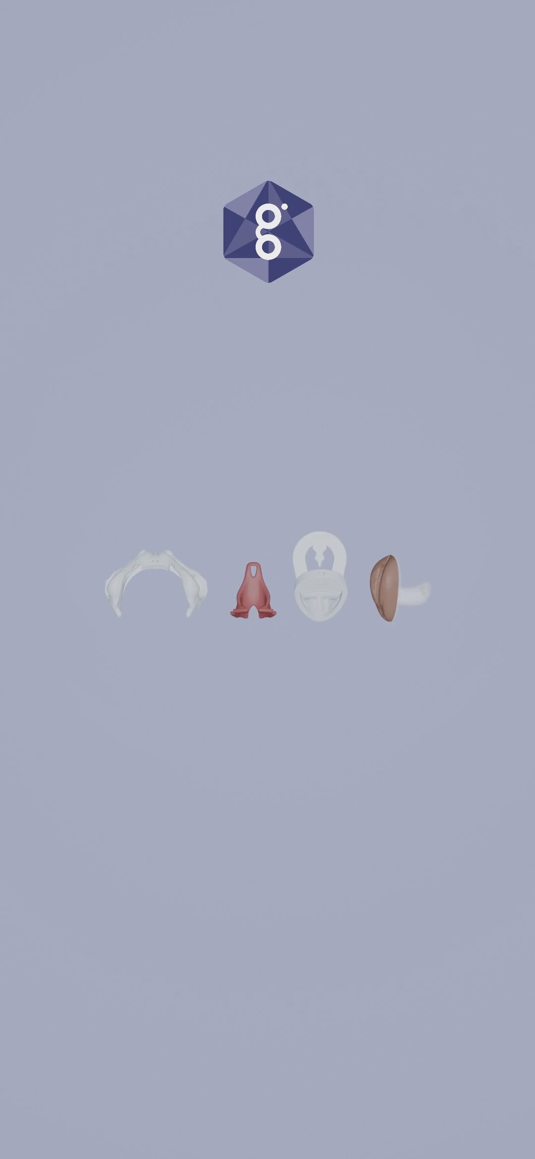 Lily™ Pelvic Floor Levator Ani Pelvic Model